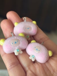 Image 3 of fuzzy boomerang dogs
