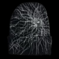 Image 1 of Tendril Beanie 