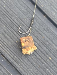 Image 3 of Crab, Liver and Krill cubes