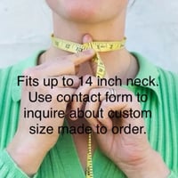 Image 5 of Beekeeper Detachable Collar