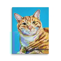 Image 4 of Orange Cat