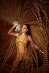 Dripping in Gold 8x10 Signed Print