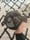 Image of Support Your Local Wildland Firefighter Brown Hat