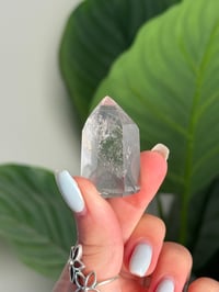 Image 3 of PHANTOM QUARTZ TOWER -BRAZIL-