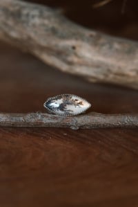 Image 1 of Spring Agate Ring No. 2