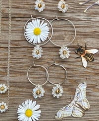 Image 3 of Moonstone Daisy Hoops