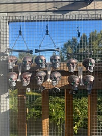 Image 3 of All Seeing Skulls
