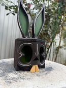 Image 1 of Black and green  Bunny lantern