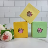 Image 3 of Upsie Cup with organic cotton pads