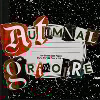 Image 1 of Pug Loop - Autumnal Grimoire