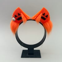 Image 1 of Orange Pumpkin Kitten