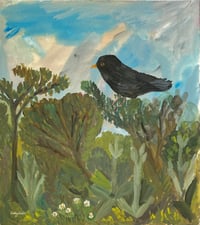 Blackbird in his green world 
