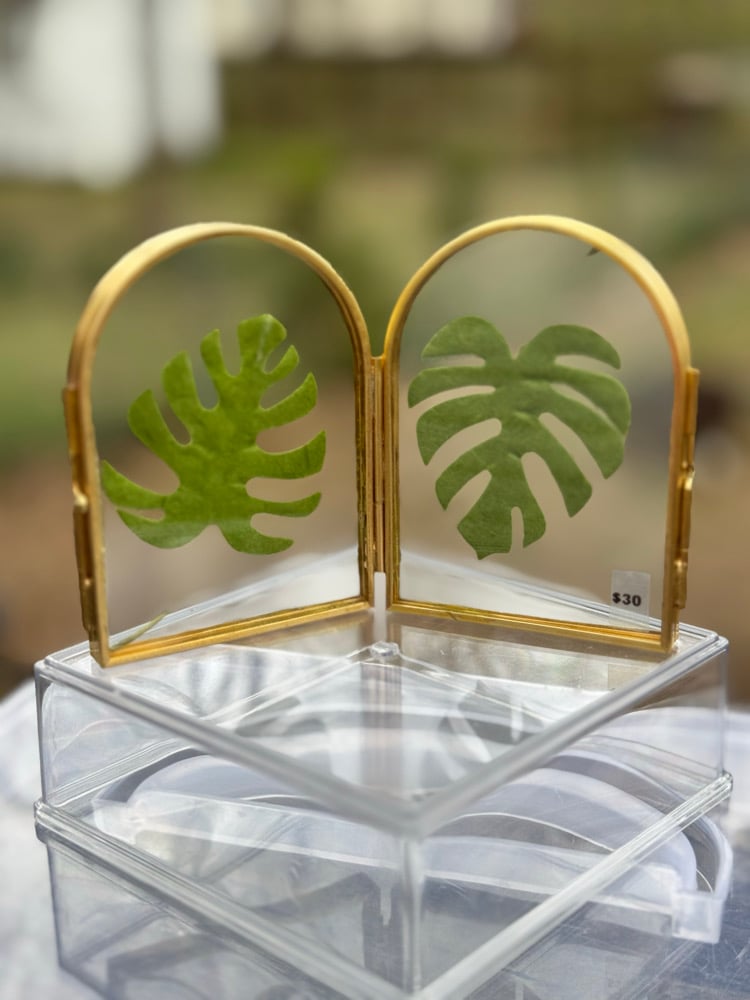 Image of Dried & Pressed Floral Frames