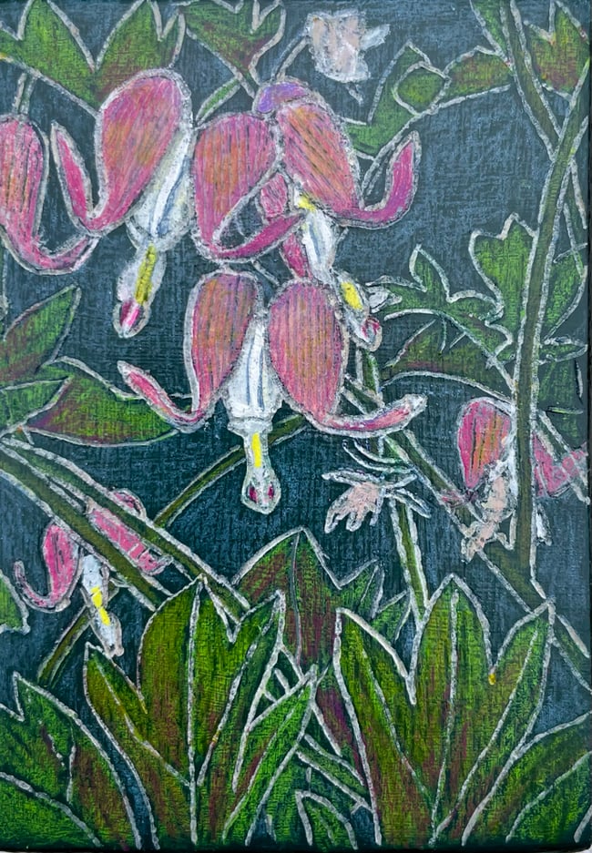 Bleeding Hearts 