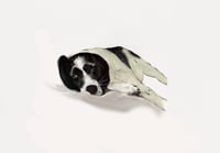 Image 2 of Digital Pet Portrait 