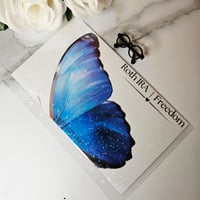Image 2 of Blue 🦋Roth IRA $7500 Contribution