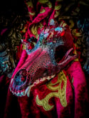 Red Quartz & Black Tourmaline - Coyote Skull