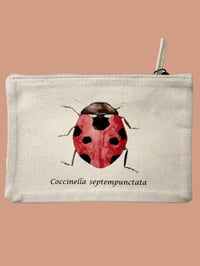 Image 2 of Pochette COCCINELLA