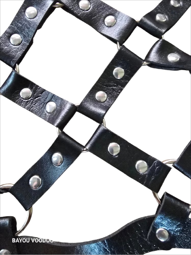 Image of Ritual Binding Harness