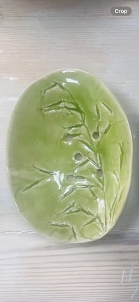 Image 1 of Soap Dish - field 