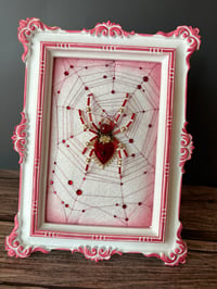 Image 1 of Red Heart Spider