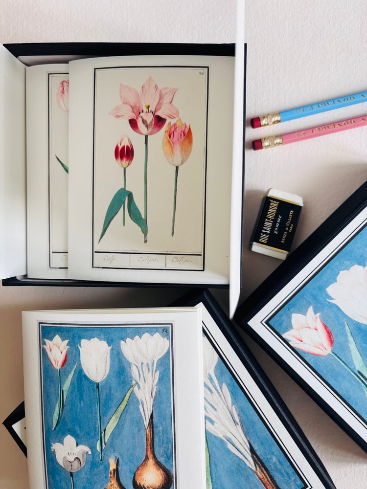 Image of 6_TULIPES