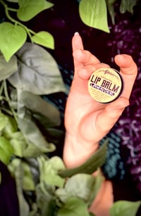 Image 2 of Pucker Potion