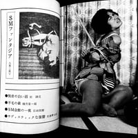 Image 23 of SM Fantasia 1963 #9