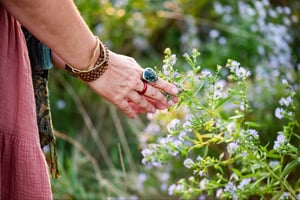 Image of Maiden•Mother•Wise Women•Crone