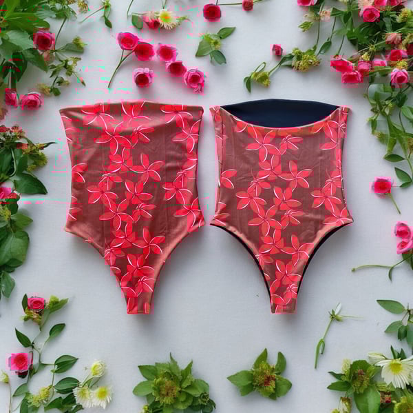 Image of Red plumeria x black 
