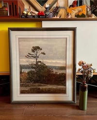 Image 1 of “Lichen and Pine”, S/N Photography Print
