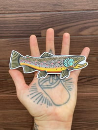 Brown Trout Sticker