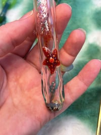 Image 4 of Ultra Fancy Hanging Whisker Bank - Ocean Inspired with Red/Orange Starfisv