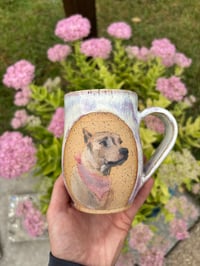 Image 9 of Pink Pitbull 