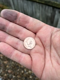 Image 3 of Pound coin Hobo quid