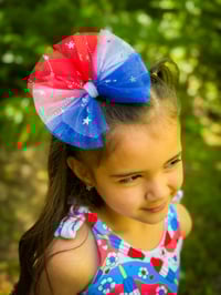 Image 1 of 4oJ Tulle Bow
