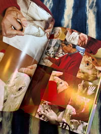 Image 8 of Simon Yotsuya Doll Diary, 2011, Signed,