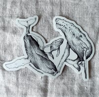 Image 14 of Vinyl Stickers 