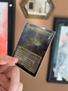 Lotus Field artist proof #16