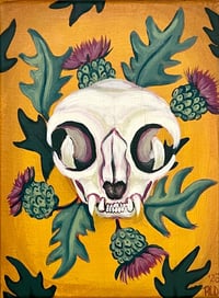 Persian Skull