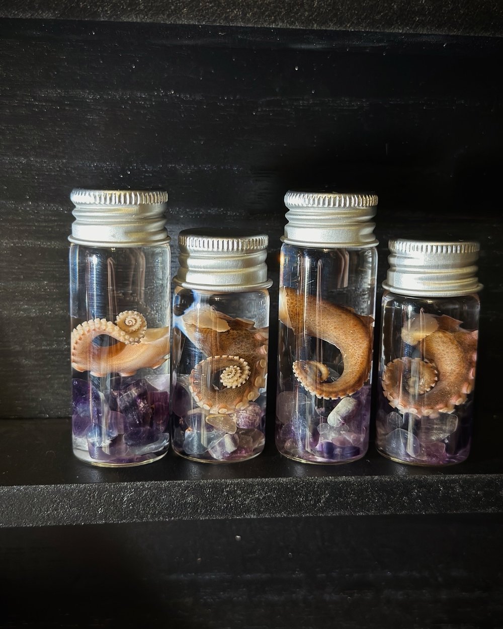 Image of Fluorite Tentacle Vials