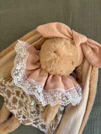 Image 4 of LAPINE MAXI FORMAT AU CHOIX 