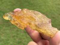 Image 7 of Amber Specimen #1464