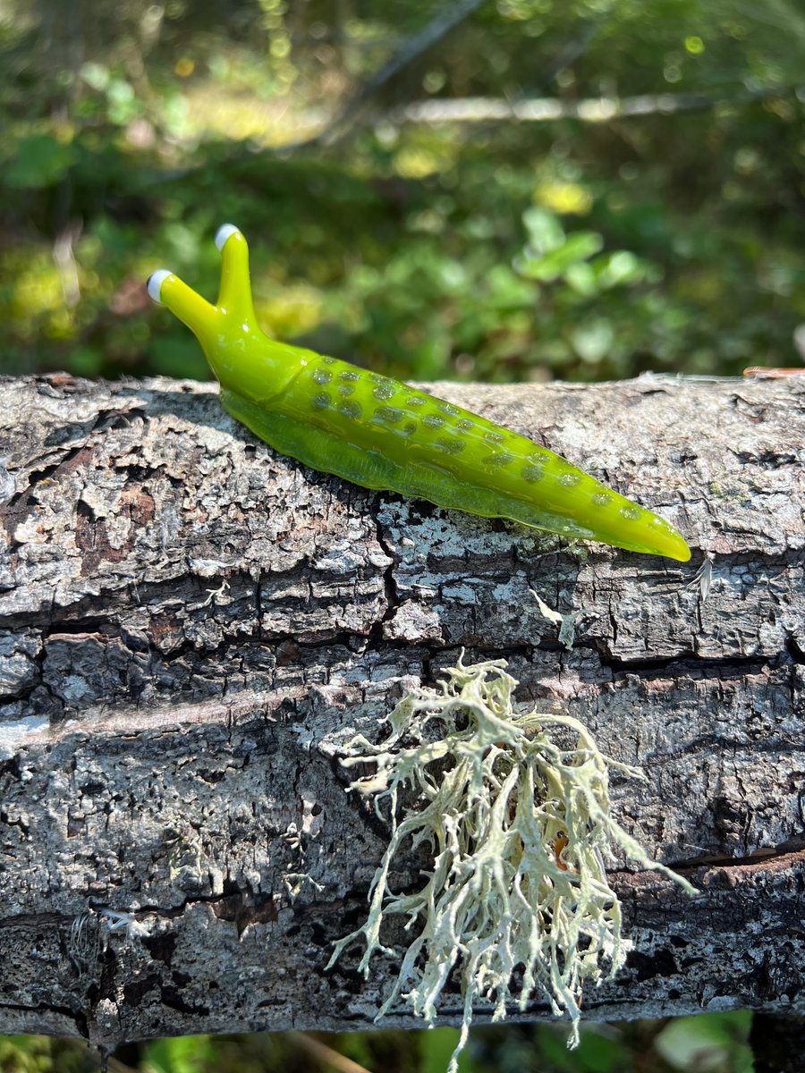 Image of Chartreuse Boro Slug