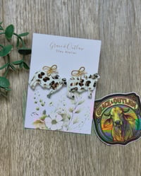 Leopard print Brahman 