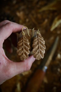 Image 1 of Oak leaf Earrings-