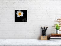 Image 4 of Wild White Rose