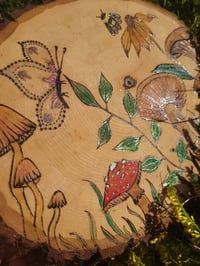 Image 2 of Shroom garden 