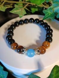 Image 3 of Tiger Eye Set