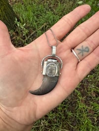 Image 3 of Bear claw with Gold sheen obsidian 